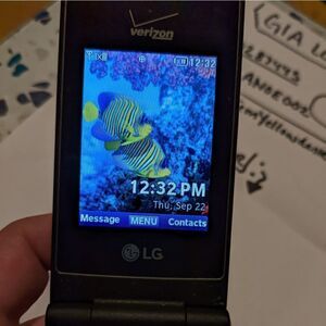LG Verizon flip phone, excellent condition, works great